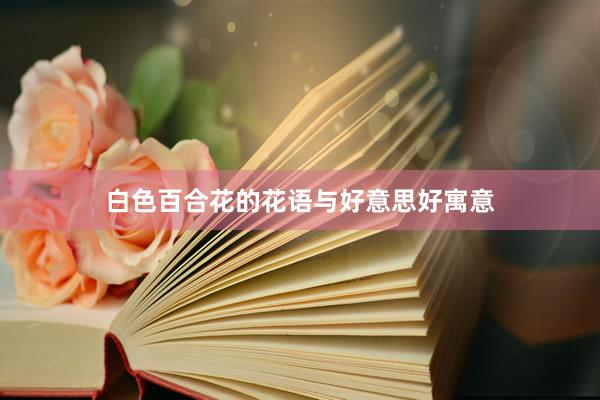 白色百合花的花语与好意思好寓意