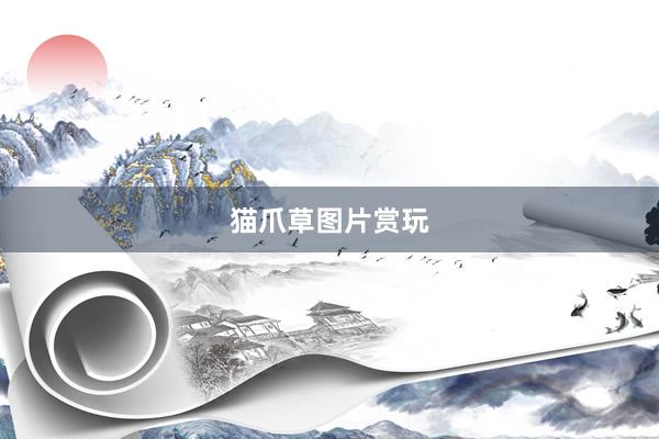 猫爪草图片赏玩