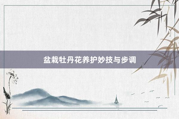 盆栽牡丹花养护妙技与步调