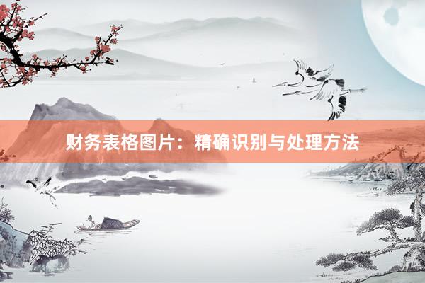 财务表格图片:精确识别与处理方法